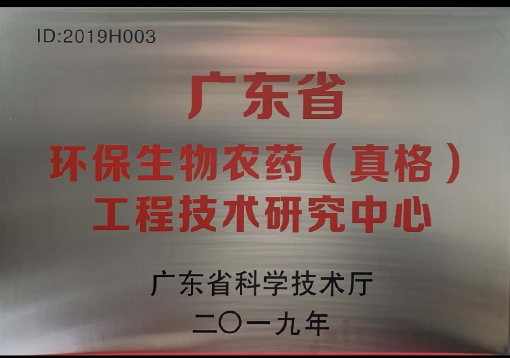 金榜提名，載譽歸來