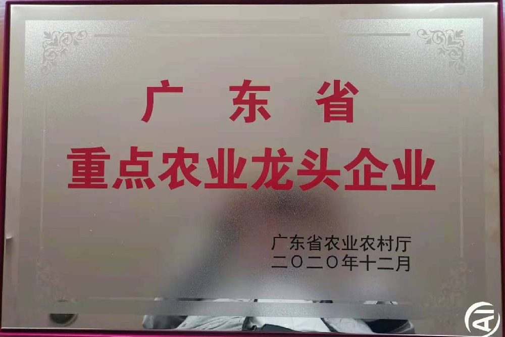 更上一層樓！追求無止境