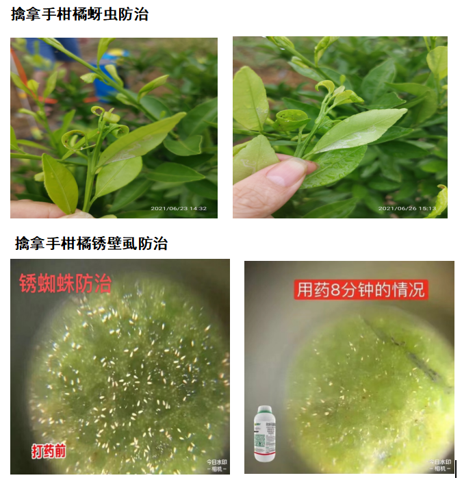 針對這個可控難治的病，我們有高招！