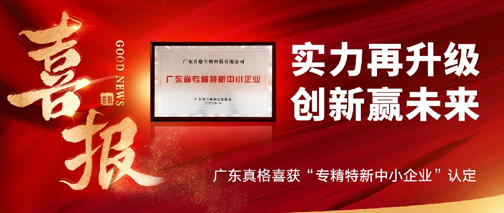 實力再升級，創(chuàng)新贏未來！ ——廣東真格喜獲“專精特新中小企業(yè)”認定